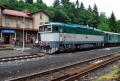 T478.3101 Jedlová 18.6.2016