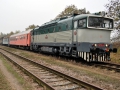 T478.3101 - Chlumčany, 24.10.2015, foto Zajíc Jan